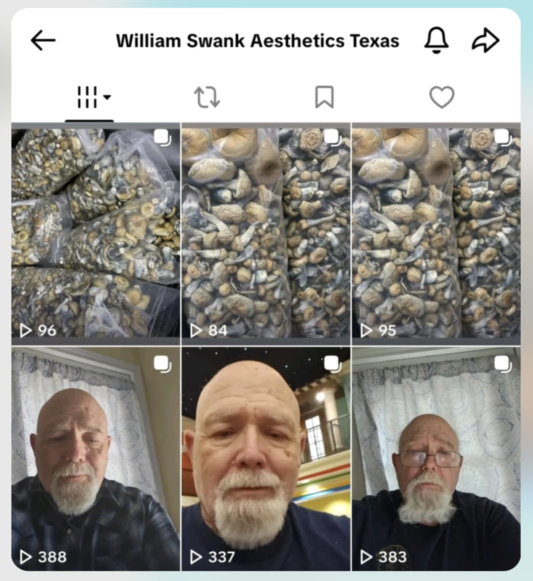 Bill’s failed mushroom business Instagram grid